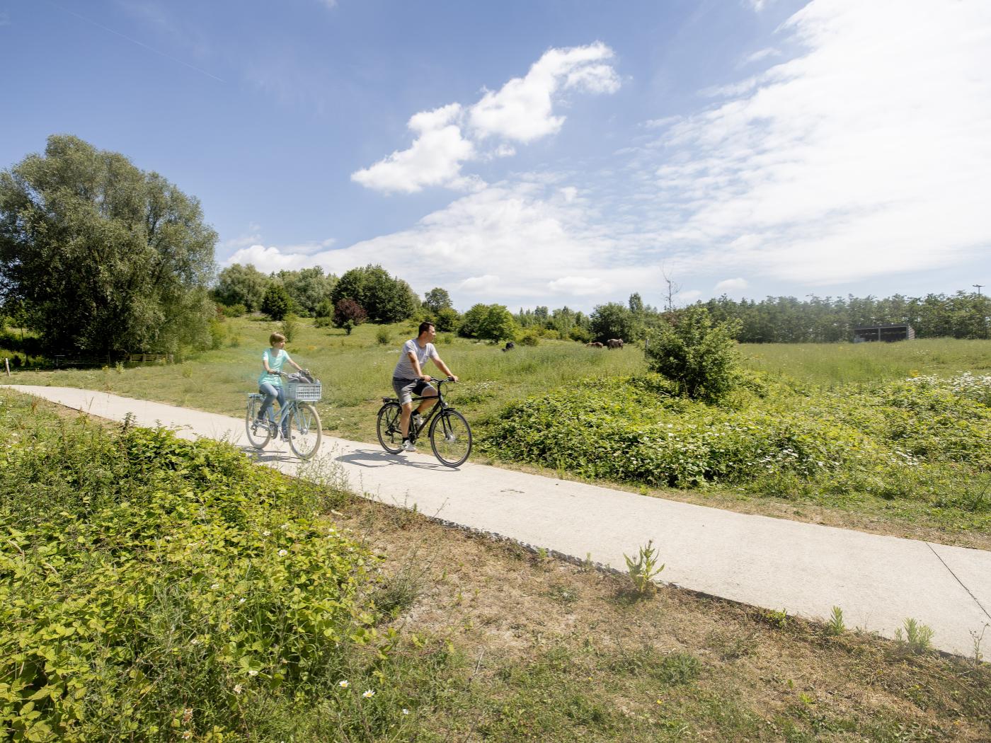 Mensen fietsen door het Preshoekbos